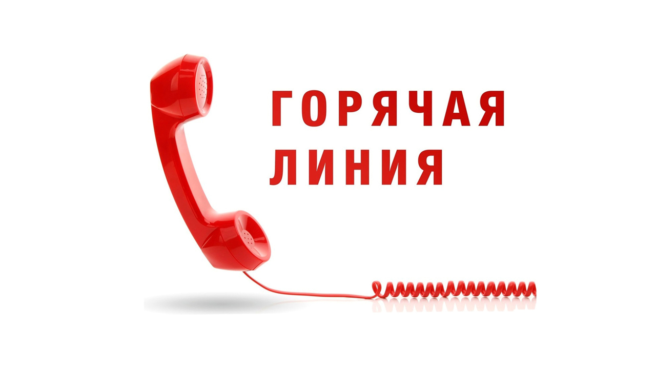В Управлении Роспотребнадзора по Воронежской области открыта «горячая линия» по вопросам детского отдыха, качества и безопасности детских товаров.
