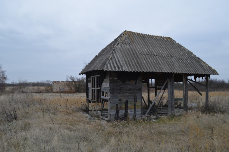 Была «Весной», стала обузой. Была «Весной», стала обузой.